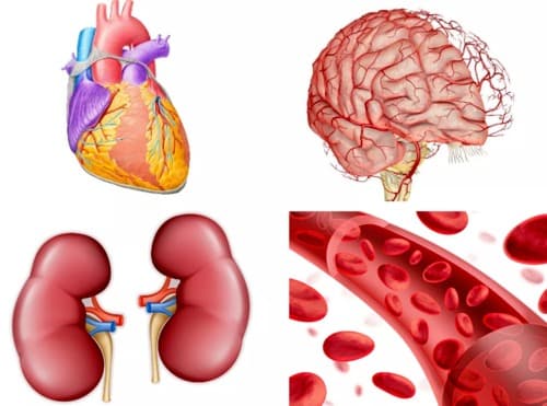 Blood Balance precio farmacia similares