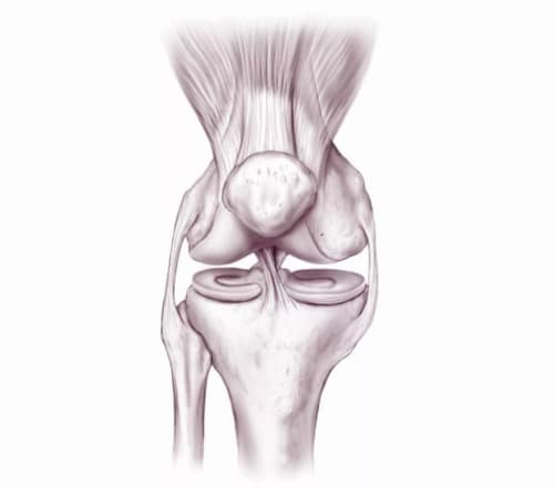 Fleko medicamento opiniones