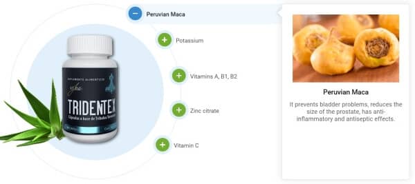 Tridentex precio farmacia similares